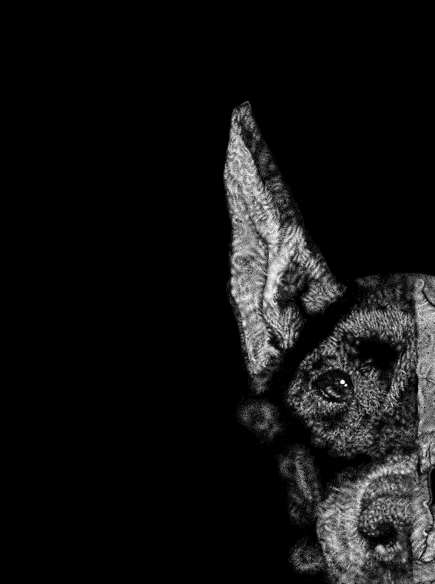 RELENTLESS - FINE ART PRINT